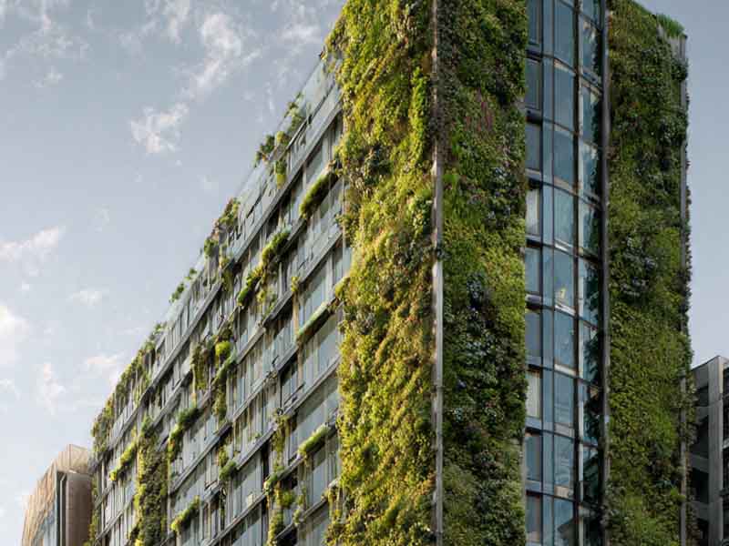 Vertical Garden & Rooftop Farming